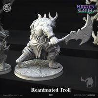 Thumbnail for Reanimated Troll