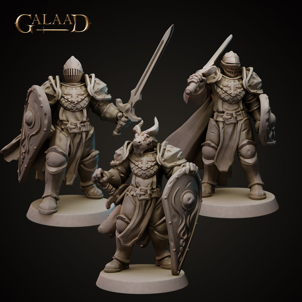 Shield Knight Bundle