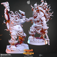 Thumbnail for Shamanic Orc Bundle