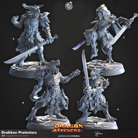 Thumbnail for Drakken Protector Bundle