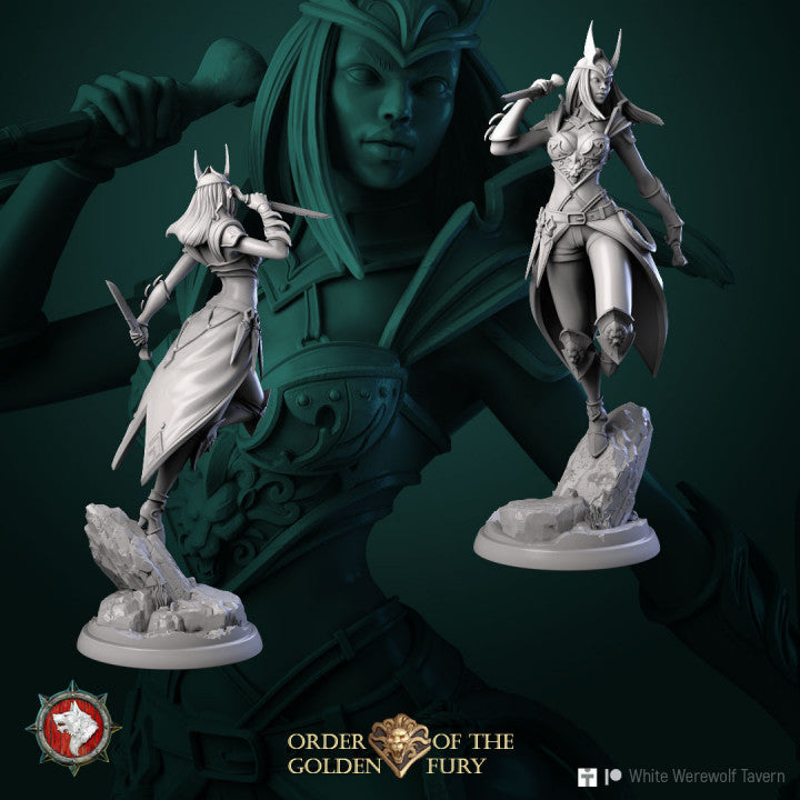 Assassin Narcissa