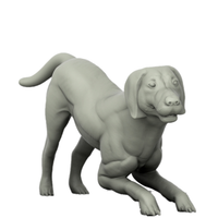 Thumbnail for Dalmatian