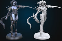 Thumbnail for Dark Elf Assassin