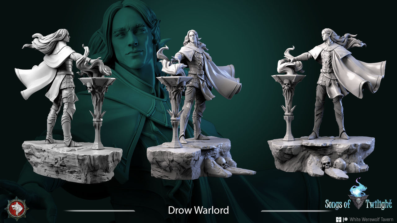 Drow Warlord