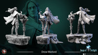Thumbnail for Drow Warlord