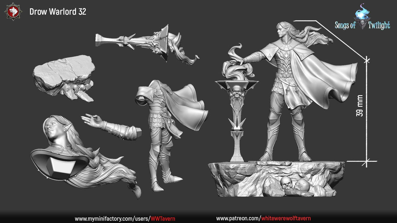 Drow Warlord