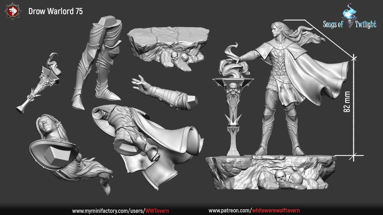 Drow Warlord