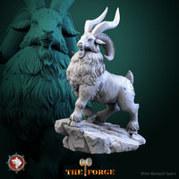 Thumbnail for Dwarven Goat Bundle