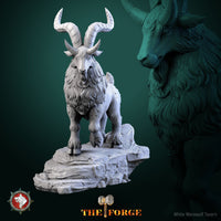 Thumbnail for Dwarven Goat Bundle