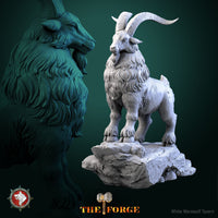 Thumbnail for Dwarven Goat Bundle