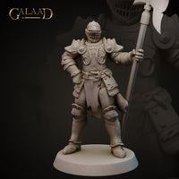 Thumbnail for Halberd Knights Bundle