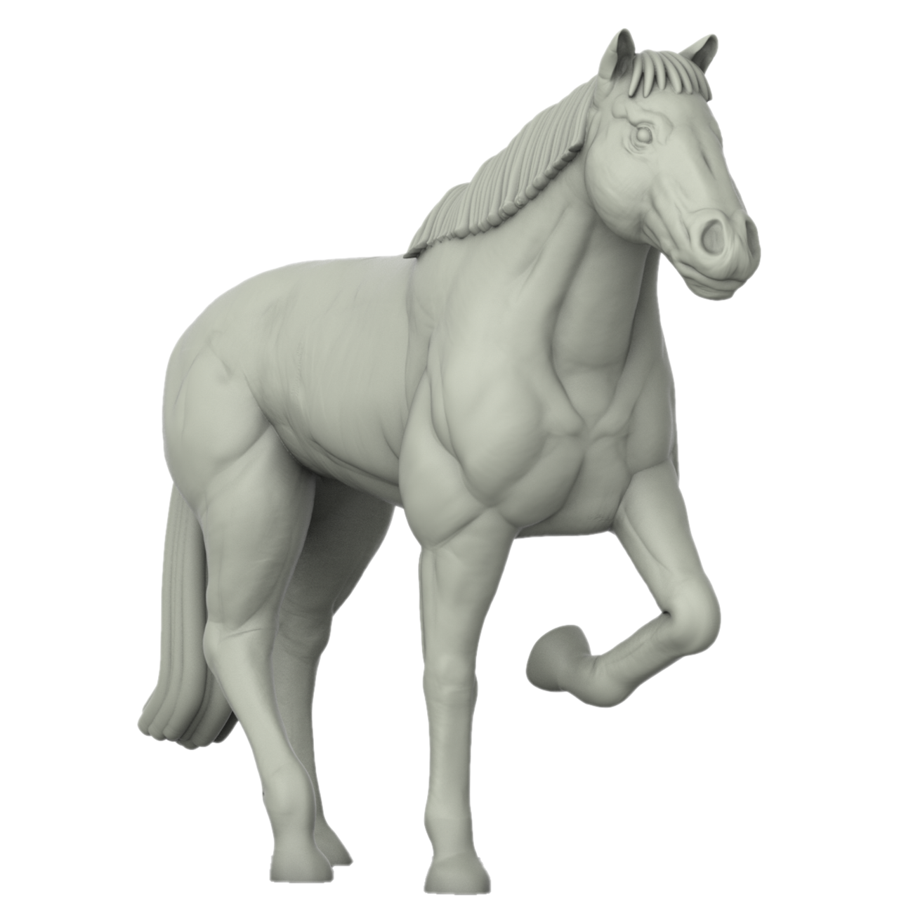 Horse Bundle 2