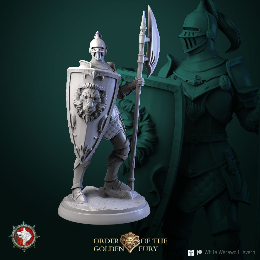 Knights Bundle