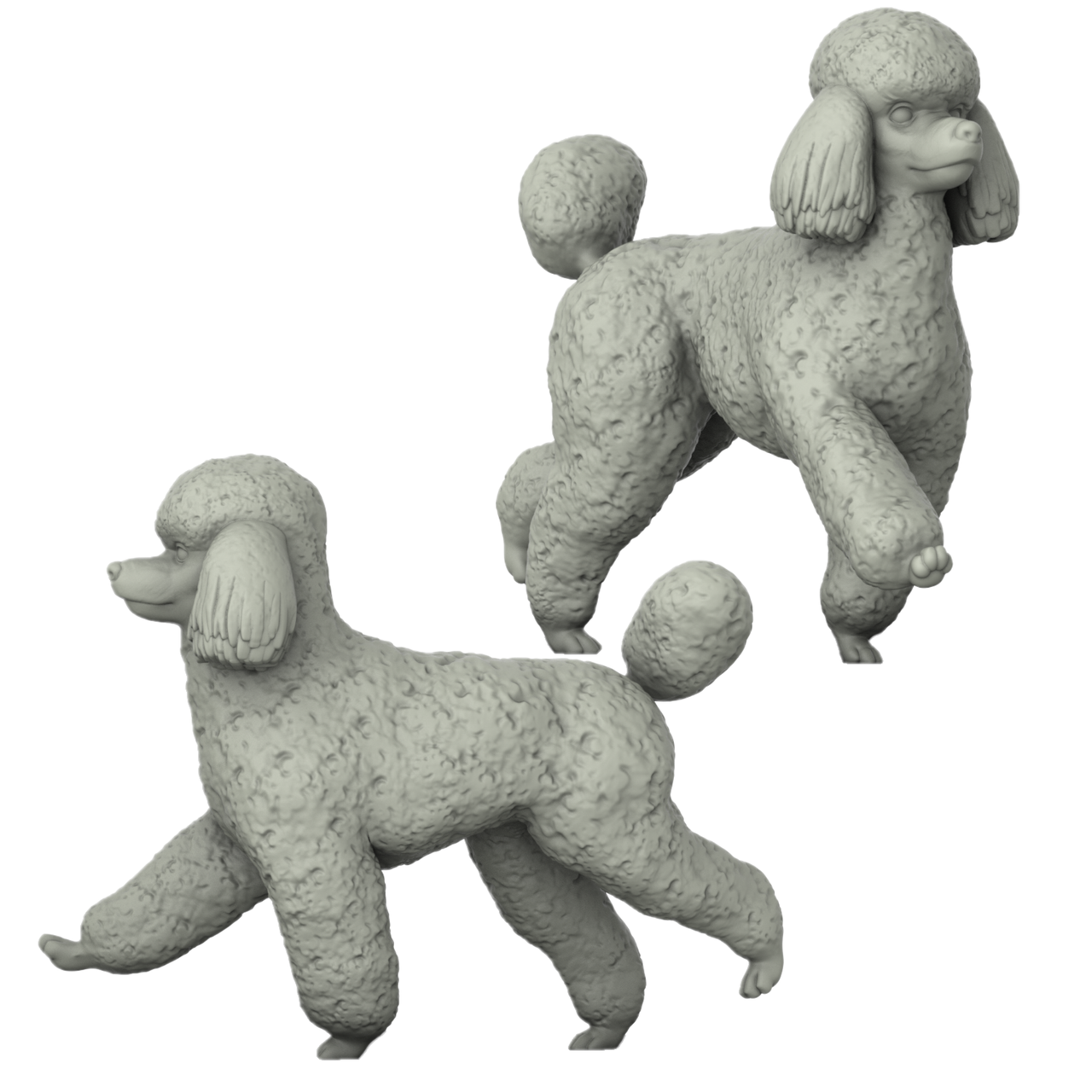 Poodle