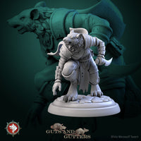 Thumbnail for Rat Female Assassin Bundle