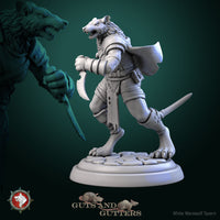 Thumbnail for Rat Female Assassin Bundle