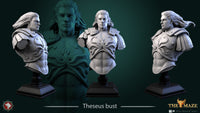 Thumbnail for Theseus Bust