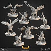 Thumbnail for Dawn Gryphon Bundle