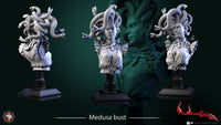 Thumbnail for Professor Medusa Bust