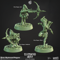 Thumbnail for Elven Mystwood Rogue Bundle