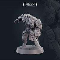 Thumbnail for Gnoll Bundle