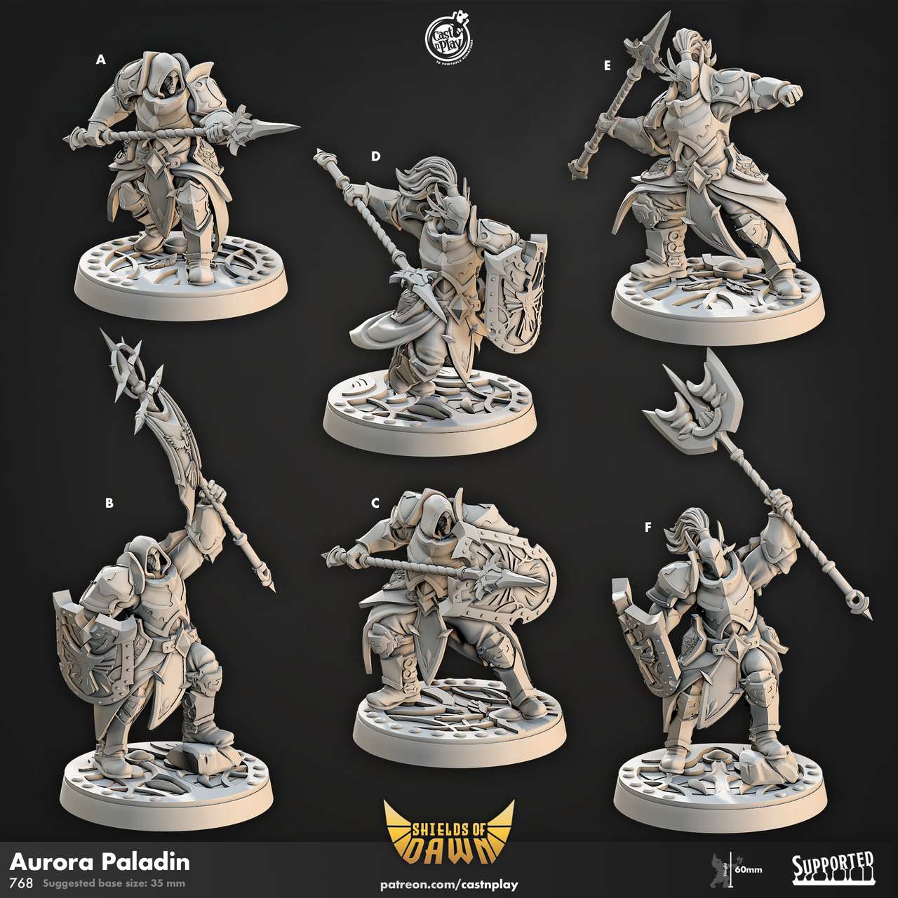 Aurora Paladin Bundle