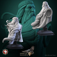 Thumbnail for Volkhv Bust
