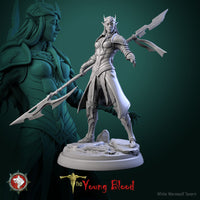 Thumbnail for Elven Female Warrior Bundle