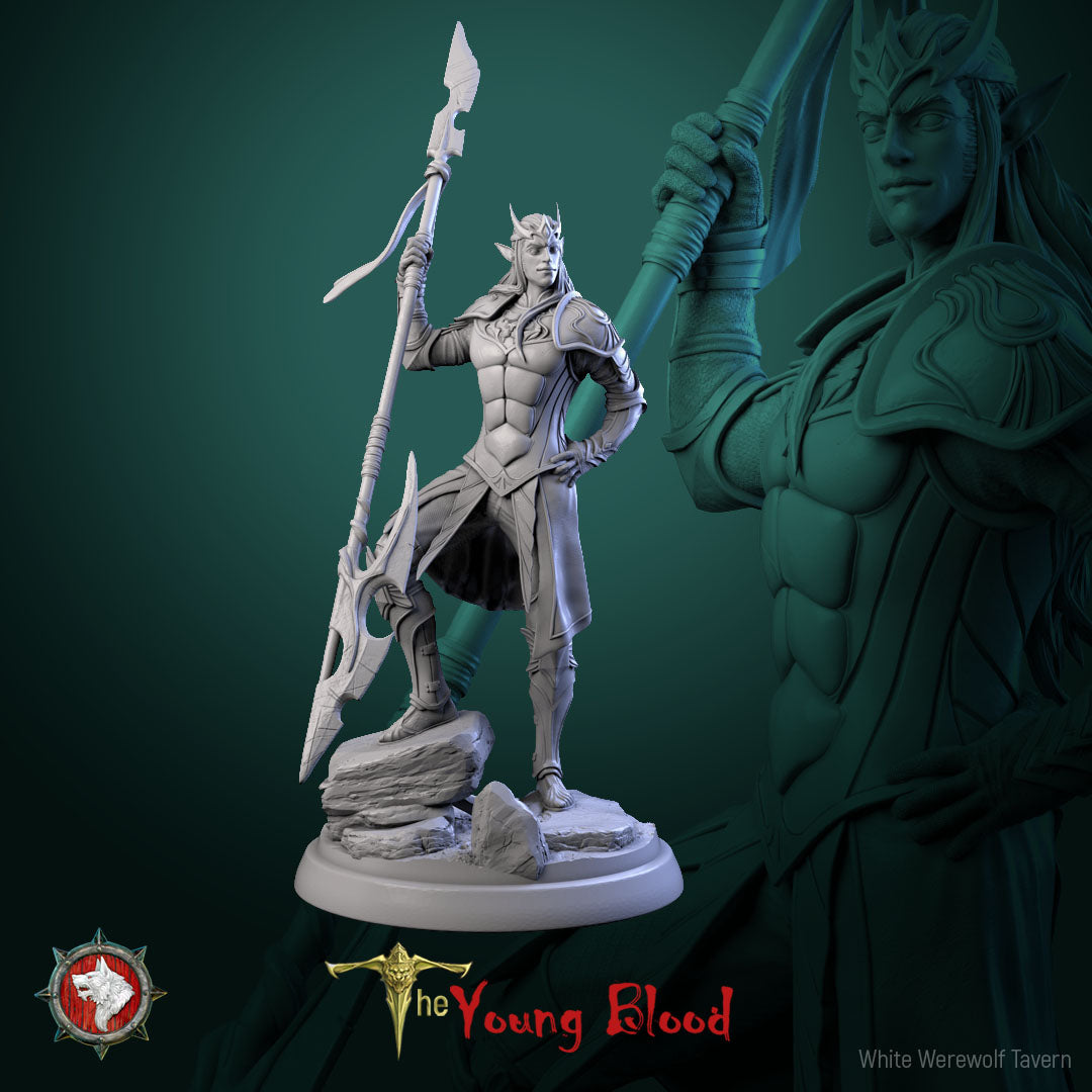 Elven Male Warrior Bundle