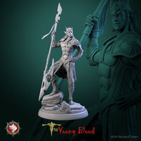 Thumbnail for Elven Male Warrior Bundle