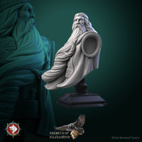Thumbnail for Volkhv Bust