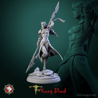 Thumbnail for Elven Female Warrior Bundle