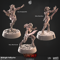 Thumbnail for Midnight Valkyries