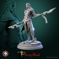 Thumbnail for Elven Male Warrior Bundle