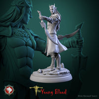 Thumbnail for Elven Male Warrior Bundle