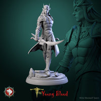 Thumbnail for Elven Male Warrior Bundle