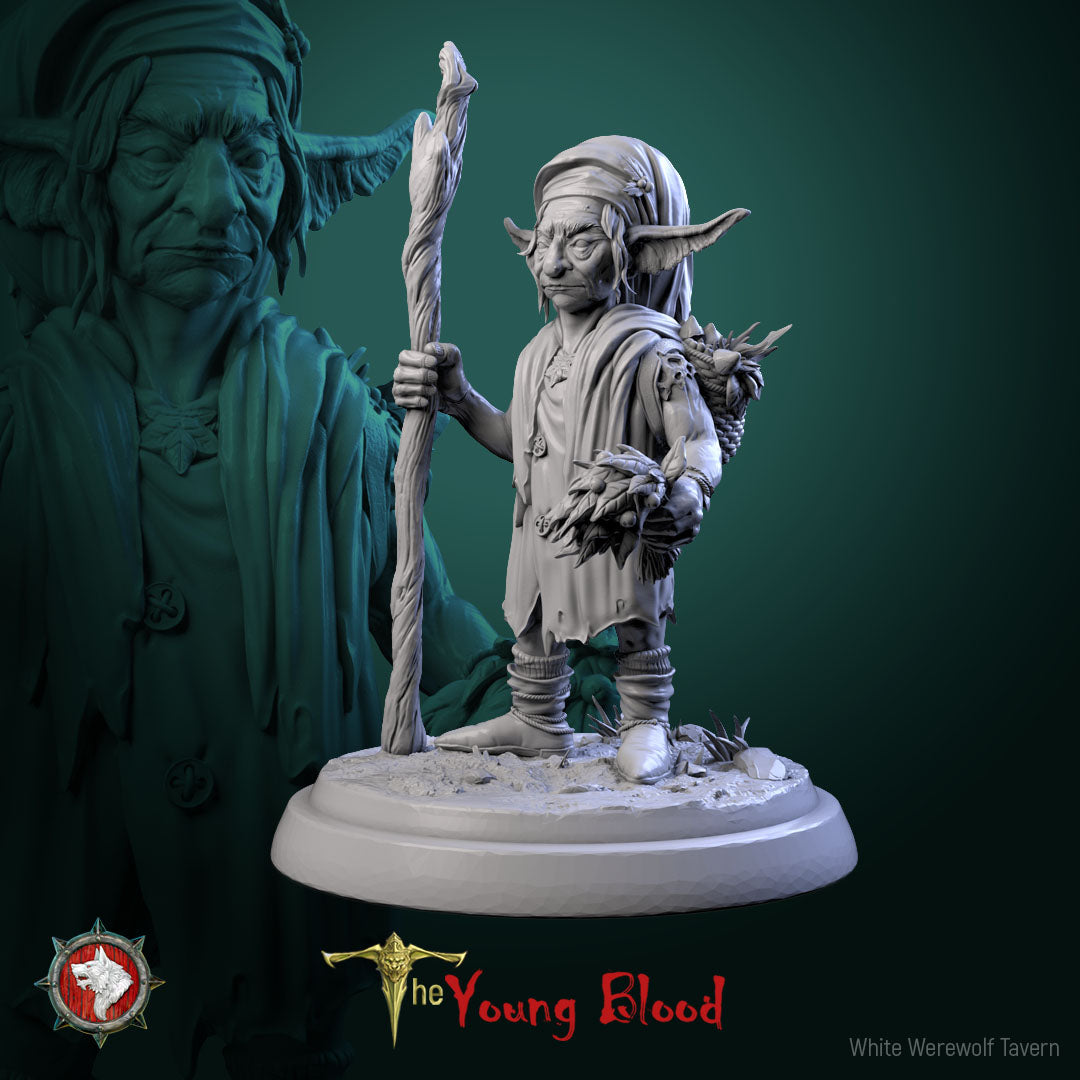 Elven Servant Bundle