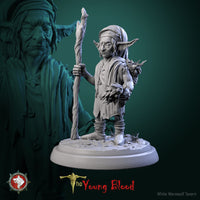 Thumbnail for Elven Servant Bundle
