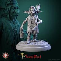 Thumbnail for Elven Servant Bundle