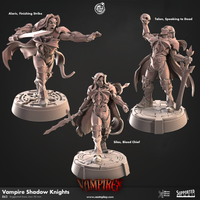 Thumbnail for Vampire Shadow Knights