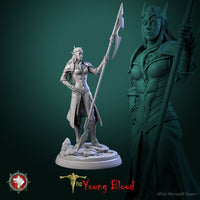 Thumbnail for Elven Female Warrior Bundle