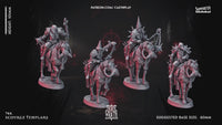 Sourge Templars Bundle