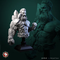 Thumbnail for Earth Master Bust