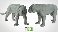 Thumbnail for Tigers
