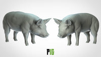 Thumbnail for Pig