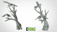 Thumbnail for Crows