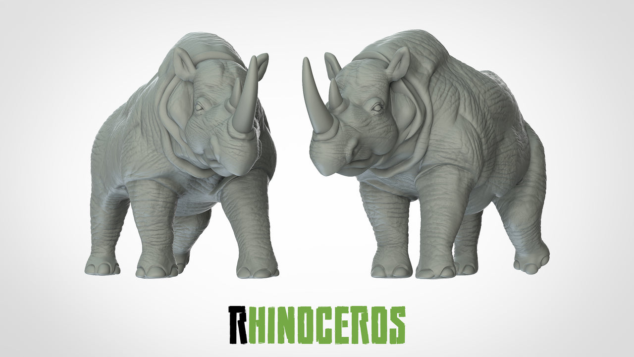 Rhinoceri