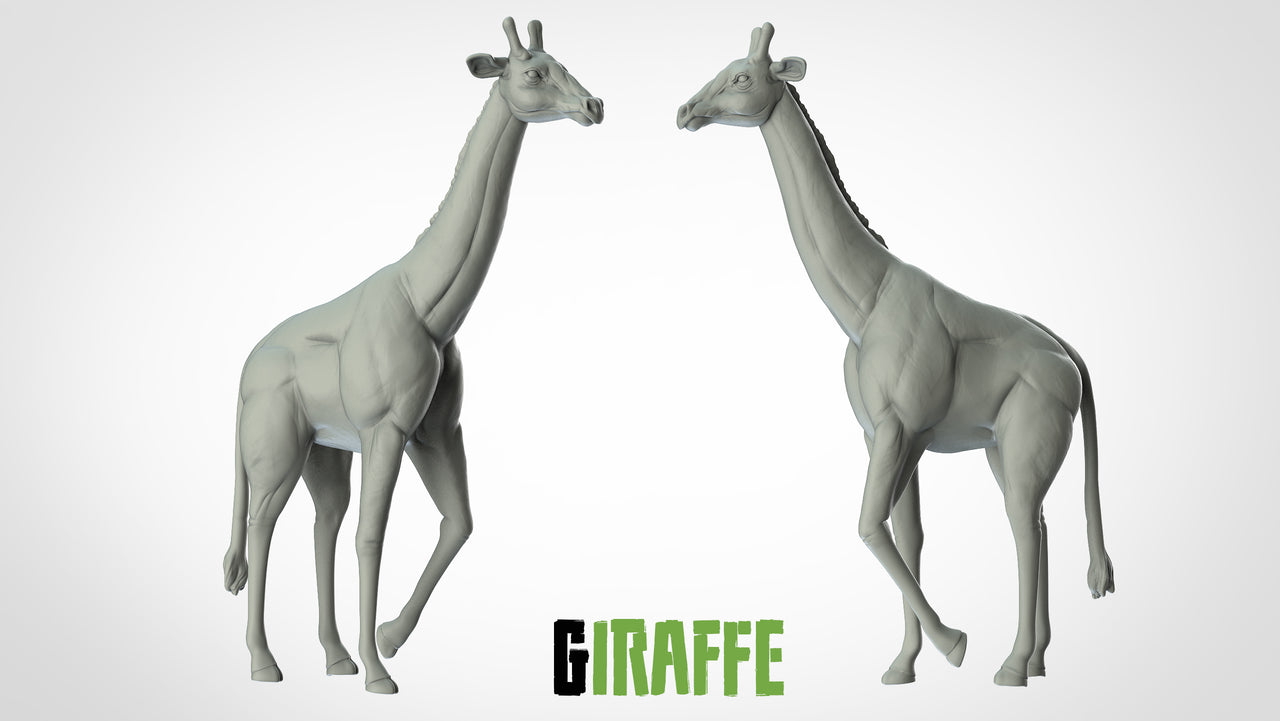 Giraffe