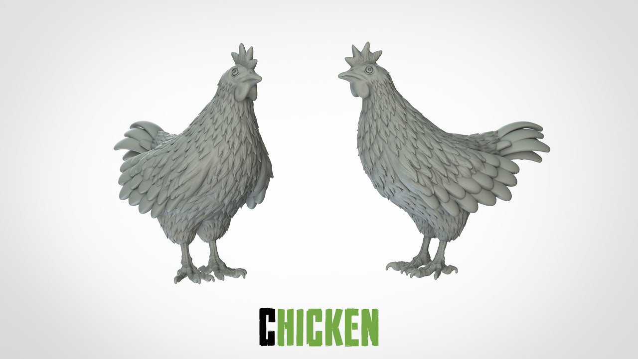 Chicken