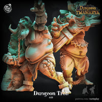Thumbnail for Dungeon Troll